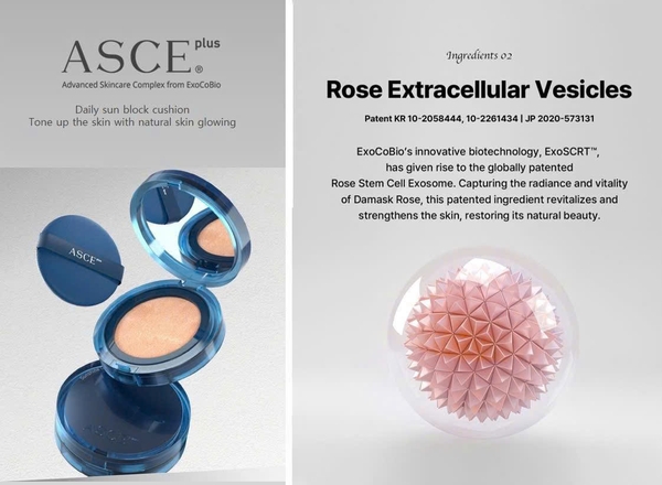 EXOCOBIO ASCE PLUS SUNSHINE CUSHION PRO: Phấn Nước Đa Năng Cho Làn Da Sáng Khỏe Rạng Rỡ & Được Bảo Vệ Toàn Diện