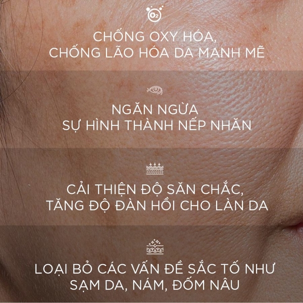 Dr.Different CEQ Anti-Oxidant Serum – Tinh Chất Phức Hợp Vitamin C 15%, E Và CoQ10 Hỗ Trợ Dưỡng Sáng, Làm Mờ Thâm Sạm Và Tăng Độ Đàn Hồi