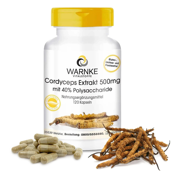 Warnke Cordyceps Extract 500mg – Đông Trùng Hạ Thảo Đức Tăng Cường Sức Khỏe Toàn Diện