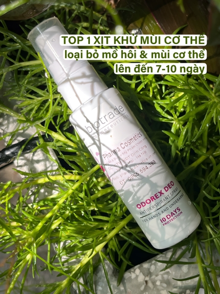 Biotrade Odorex Deo Antiperspirant Spray 40ml – Xịt Ngăn Tiết Mồ Hôi  Hiệu Quả Tới 7 Ngày