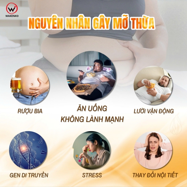 WAKENKO NICE BODY EX 60 VIÊN / VIÊN UỐNG GIẢM MỠ BỤNG LỢI KHUẨN GỪNG ĐEN 