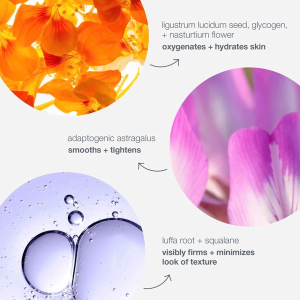 DERMALOGICA PHYTO NATURE OXYGEN CREAM: Kem Dưỡng Tái Sinh Làn Da – Nâng Cơ, Săn Chắc & Rạng Rỡ
