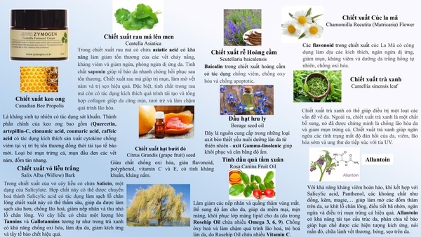 ZYMOGEN CENTELLA FERMENT CREAM/ KEM DƯỠNG PHỤC HỒI VÀ TÁI TẠO DA