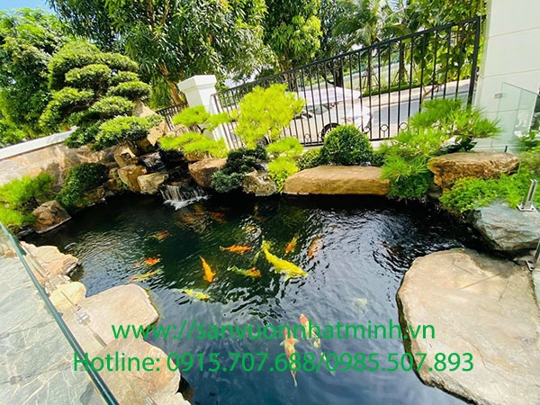 Thiết kế, thi công hồ cá koi sân vườn, uy tín, chất lượng nhất Hà Nội