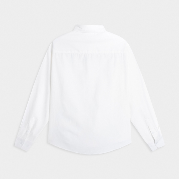 Áo Sơ Mi Dài Tay Teelab Local Brand Unisex Oxford shirts SS066