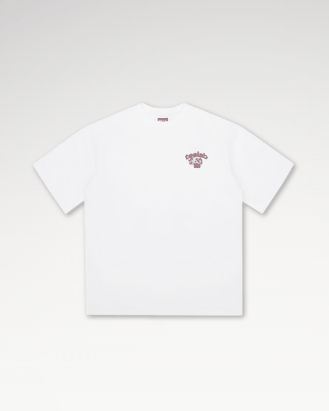 Áo Thun Local Brand Unisex Teelab Dice TS352