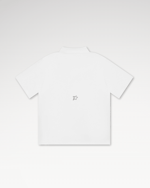 Áo Polo Local Brand Unisex Teelab Basic Multi Color AP072