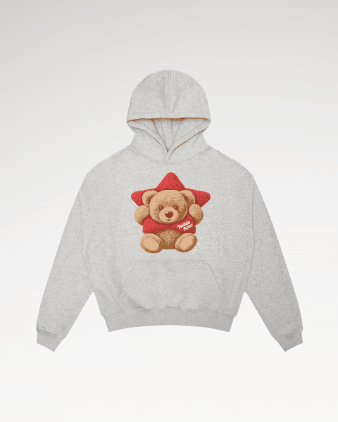 [PRE-ORDER][Tặng Gấu Ti] Áo Hoodie Local Brand Unisex Chui Nỉ Bông Teelab Alter Teddy HD132
