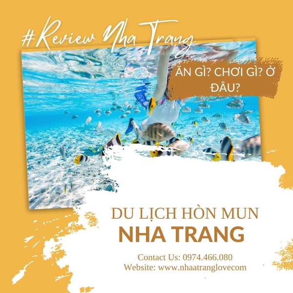  Du Lịch Hòn Mun Nha Trang – Trải Nghiệm Thế Giới San Hô Độc Đáo