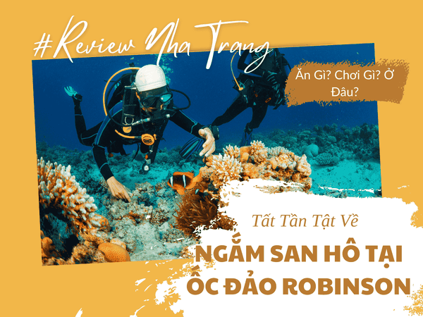 Ngắm San Hô Tại Robinson Beach Nha Trang – Khám Phá Vẻ Đẹp Dưới Lòng Biển