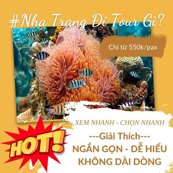 Gợi Ý Lịch Trình Tour Nha Trang – Xem Nhanh, Chọn Nhanh