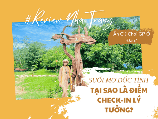 Tại sao Suối Mơ Dốc Tình là điểm check-in lý tưởng?