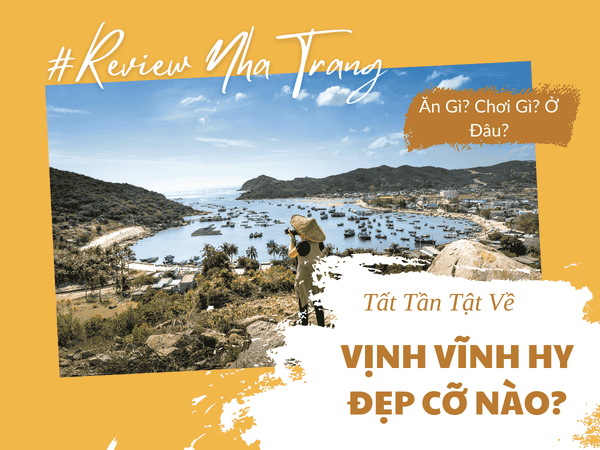 Đồng Cừu Vĩnh Hy – Trải Nghiệm Thiên Nhiên Gần Gũi Tại Vĩnh Hy
