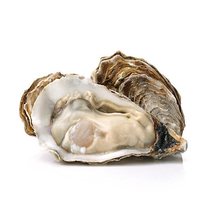 Hàu giống Pháp tươi sống size 12 - 15 con/kg (1KG)