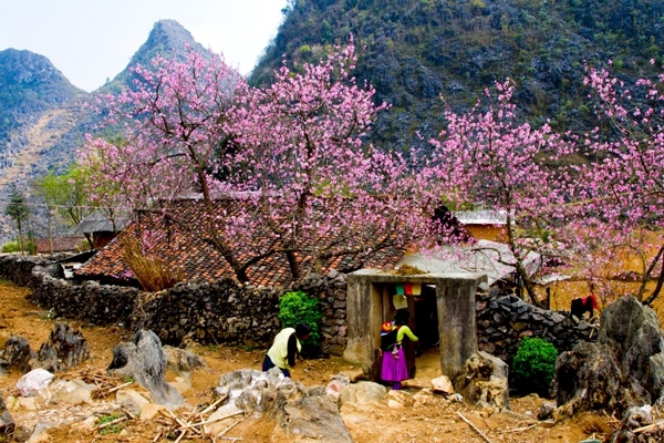 HÀ GIANG - SAPA 5 NGÀY 4 ĐÊM