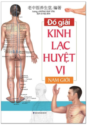 Đồ giải Kinh Lạc Huyệt Vị Nam giới