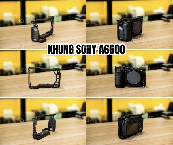 khung-sony-a6600