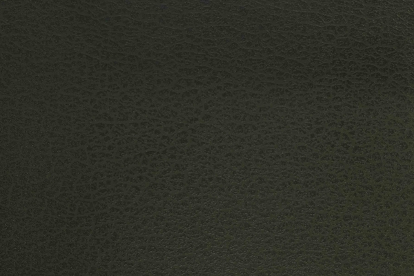 skin-van-da-xanh-la