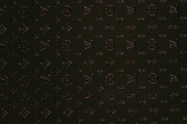 skin-lv-den
