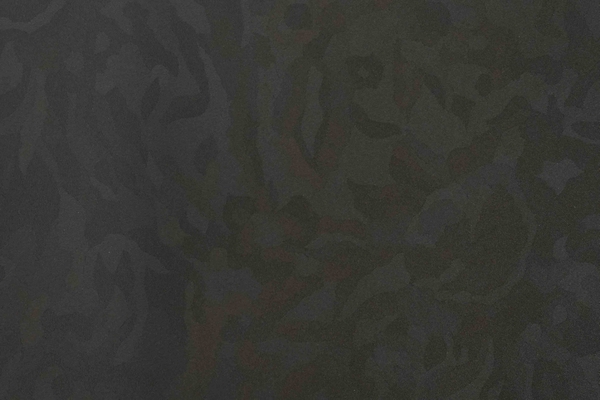 skin-camo-den