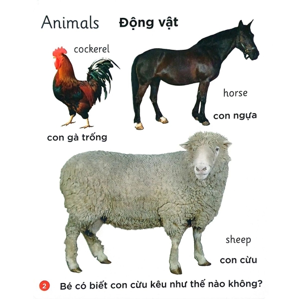 Song Ngữ Anh Việt - Cuốn Sách Đầu Tiên Của Tớ Về: Farm – Nông trại