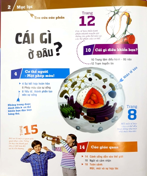 Thế Nào Và Tại Sao: Cơ Thể Người - Tuyệt Tác Của Tạo Hoá ( Tái Bản )