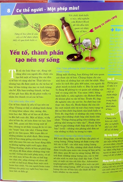 Thế Nào Và Tại Sao: Cơ Thể Người - Tuyệt Tác Của Tạo Hoá ( Tái Bản )