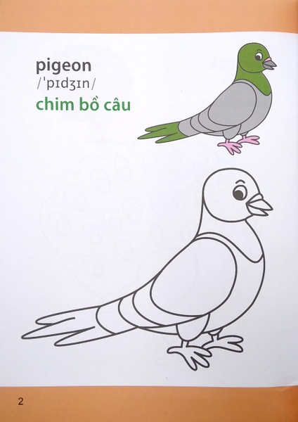 Giờ Học Tô Màu Của Bé - Các Loài Chim