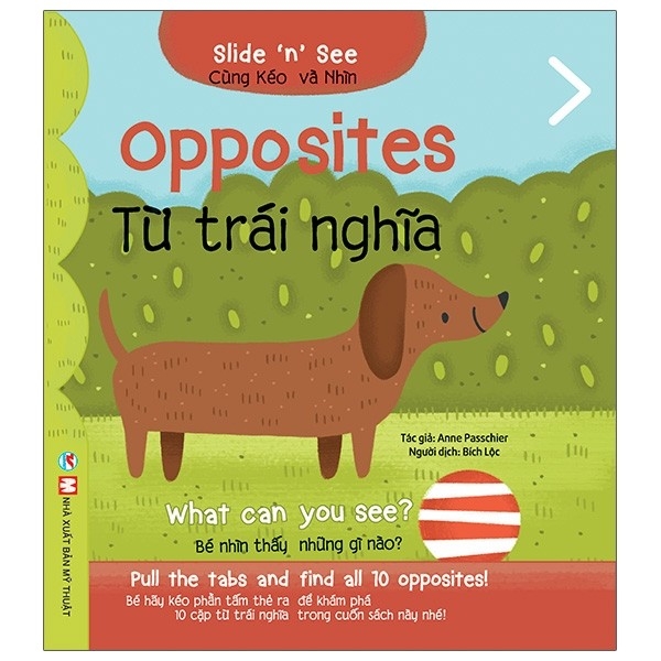 Slide And  See - Từ Trái Nghĩa