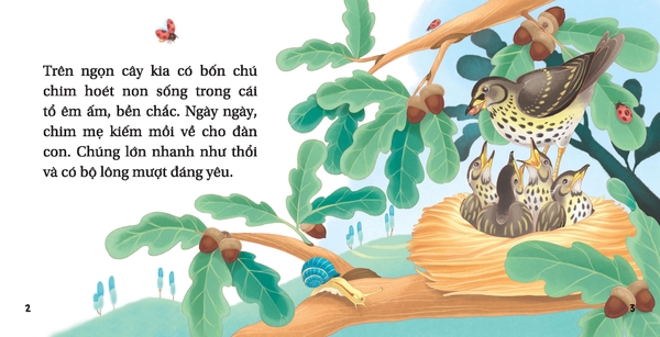 Bộ Hộp Truyện Ngụ Ngôn Aesop - Sách Thiếu Nhi - Gieo Mầm Nhân Cách