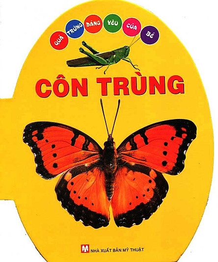 Quả Trứng Đáng Yêu Của Bé - Côn Trùng