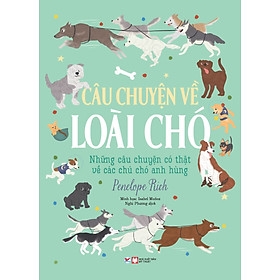 Câu Chuyện Về Loài Chó