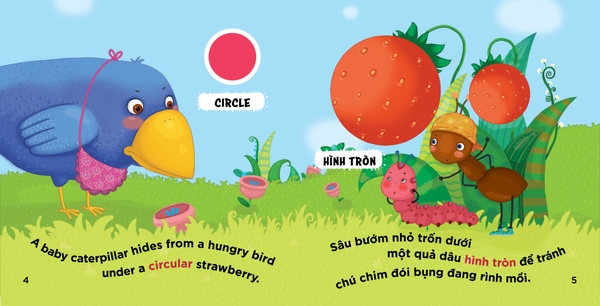 Bộ Hộp Thư Viện Đầu Tiên Của Bé - Sách Song Ngữ Nhận Biết - Trẻ 2+