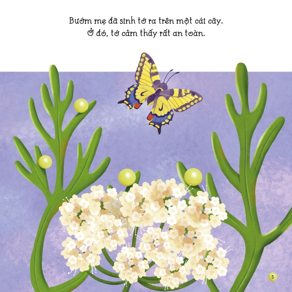 Sâu Bướm Bé Nhỏ - Câu Chuyện Tự Nhiên -Tân Việt Books