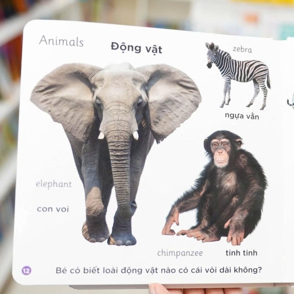 Song Ngữ Anh Việt - Cuốn Sách Đầu Tiên Của Tớ Về: Animals – Động vật