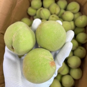 Đào Giòn 1Kg