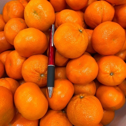 Quýt Úc Ngọt 1Kg