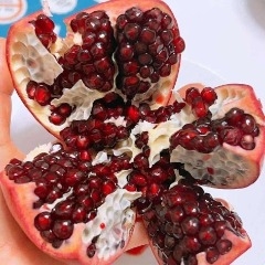 Quả Lựu Tươi America