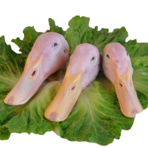 Đầu Vịt - 家鴨頭
