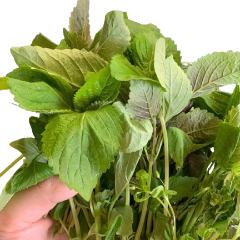 Rau Kinh Giới Việt Nam 50g - ベトナムハーフ