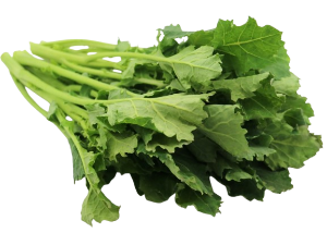 Rau Cải Kakina かき菜
