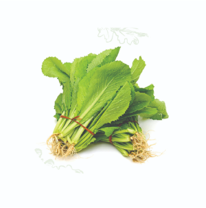 Cải Canh - 辛菜 500g