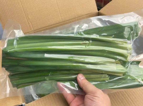 Lá Dứa Thơm 150g