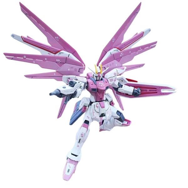 MG 1/100 FREEDOM 6650 GUNDAM Hoa anh Đào hàng Cao cấp - Cao 18cm - nặng 1kg sku :MG 6650  - Box Màu - N1-K16-T4-S2
