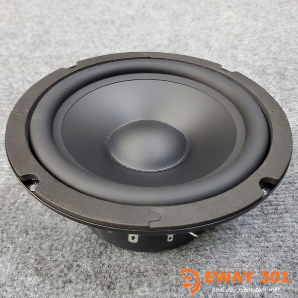 Cặp Loa MID BASS 16 P8816