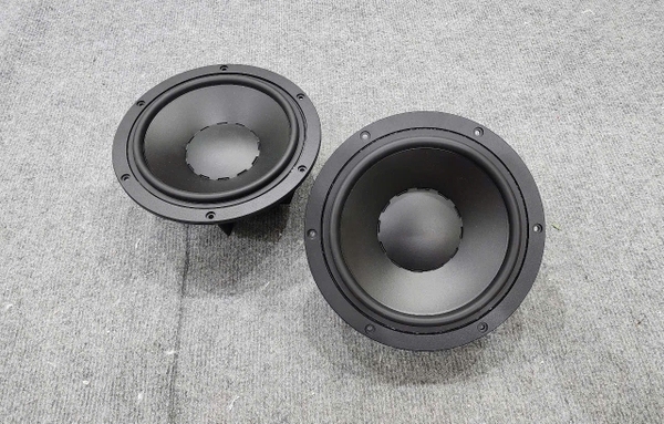 Loa Arouse Anh Quốc Bass 20 Từ Neo Coil 75