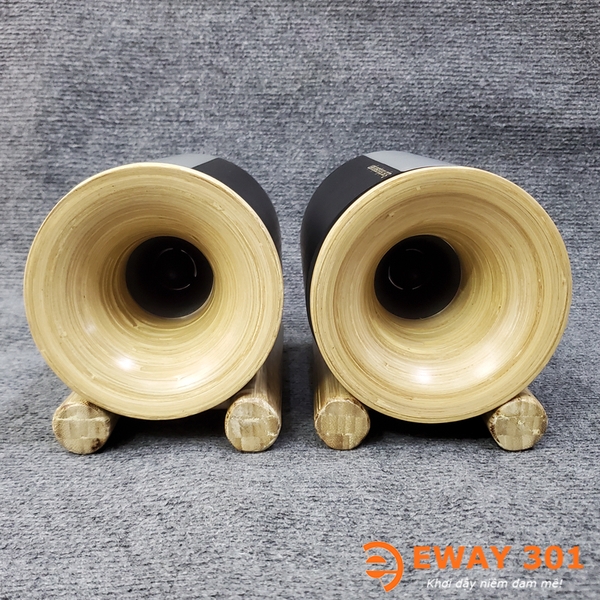 Cặp Loa Super Treble Kèn Tre V2