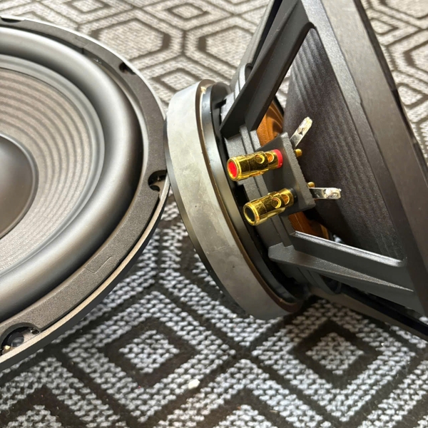 Củ Loa Bass 30 - Lực Bass Trầm Sâu (1 cặp)