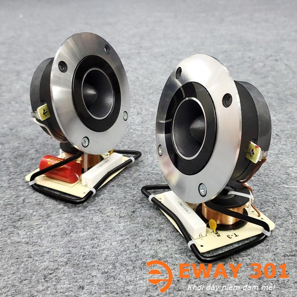 Cặp Loa Treble WT-A100 Tích Hợp Phân Tần