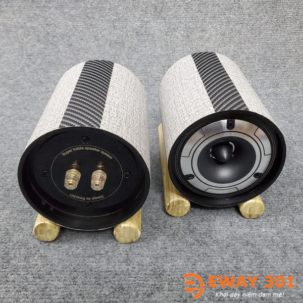 Cặp Loa Super Treble Đầu Đạn Pioneer E1